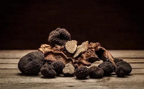 champignons, truffes noires, Alexandra de Monclin, Chef de cuisine Blois, Chef de cuisine Paris