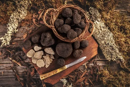 Champignons, truffes noires, Alexandra de Monclin, Chef de cuisine Blois, Chef de cuisine Paris